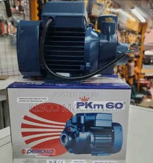 Pedrollo Booster Water Pump/PKM 60 Booster Pump