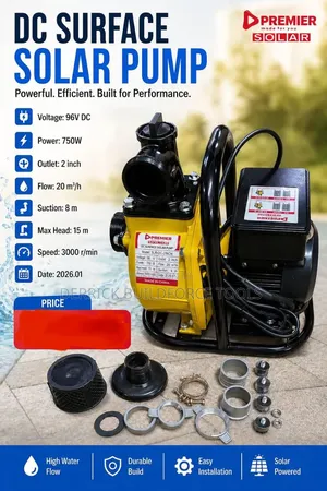 Premier 2inch 750w 15m Head Dc Surface Solar Pump
