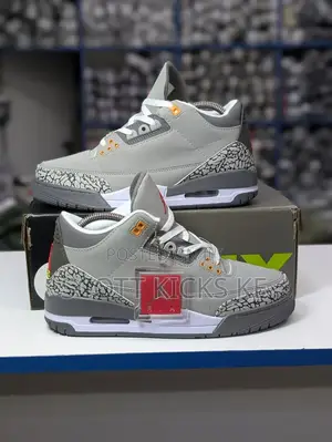 Air Jordan 3 Cool Grey