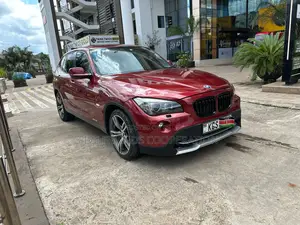 BMW X1 2011 Maroon