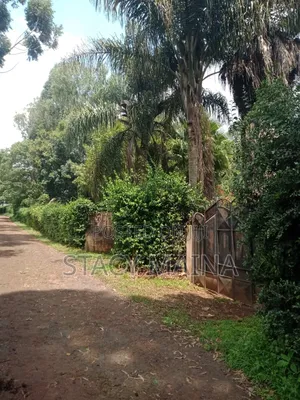 50x100 Prime Kanyariri Plot– Perfect for Rental Units or Family Home