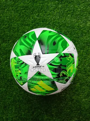 Budapest Final Champions League Ball