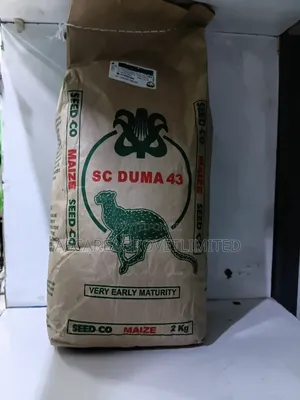 Maize Seeds Sc Duma 43. 2kgs Early Mayuring