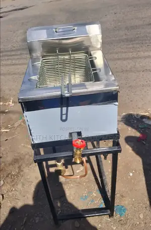 Single Gas Fryer