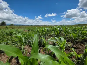 Project Oldubei Nakuru