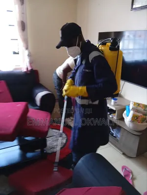Bedbugs And Cockroach Eradication