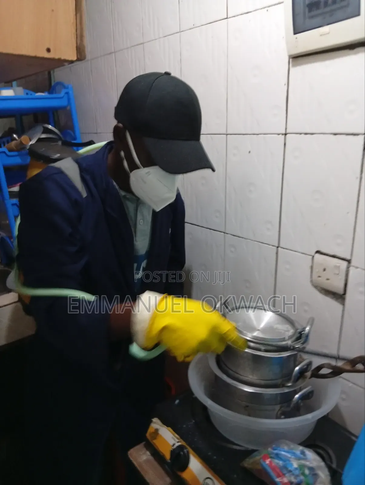 Bedbugs And Cockroach Eradication
