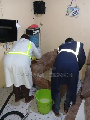 Sofa Cleaning