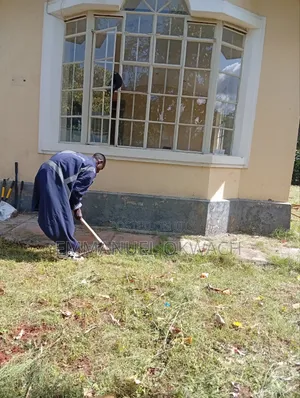 Sofa Cleaning