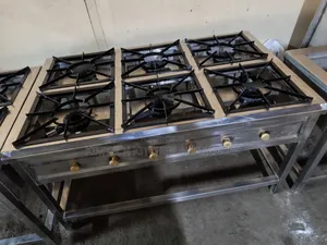 Stainless Steel 6-Burner Cooker
