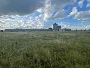 50 by 100 Plots,Mwalimu Farm 5km From Kagundo Road
