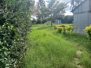 50x100 Plot