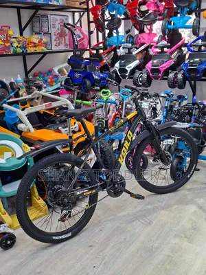Adventure Bike Size 24'