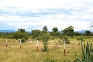 Pangu Matuu Phase 4 Affordable Plots