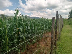 Land for Sale in Ndeiya