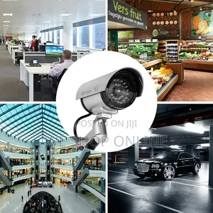 Fake Wireless CCTV Camera