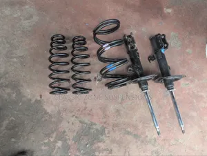 Toyota Wish Shocks and Springs