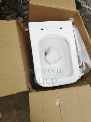 Bidet Toilets