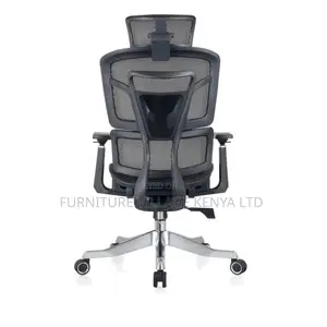 Orthopedic High Back Mesh Study Chair With Footrest