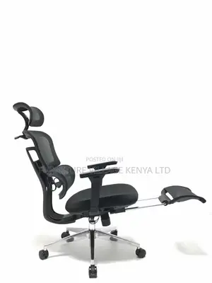 Orthopedic High Back Mesh Study Chair With Footrest