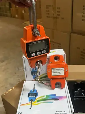 300kg Digital Crane Scale