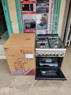 Roch Standing Cooker