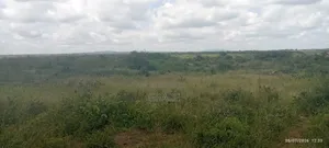 Prime Plots in Lenchani Gardens 50 by 100