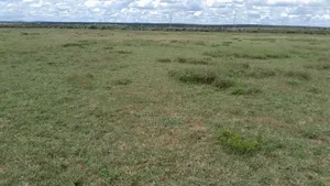 Amani Gardens Off Namanga Highway