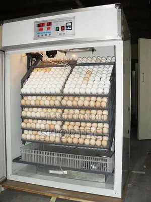 128 Eggs Automatic Incubator
