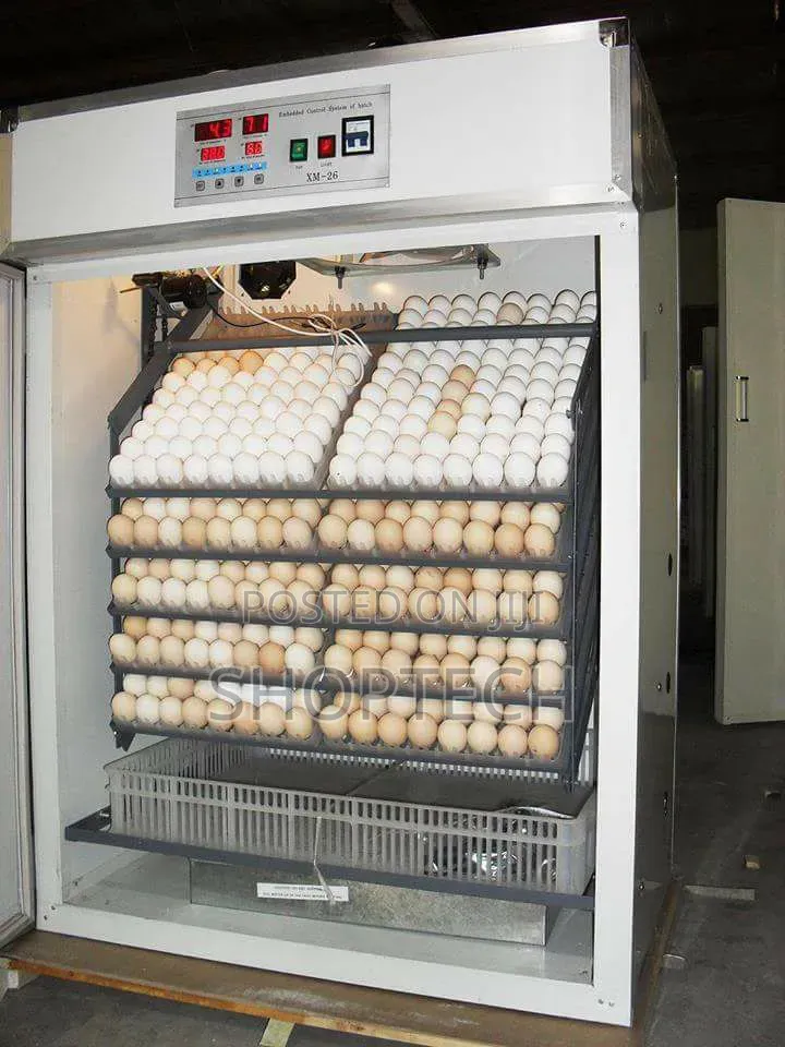 128 Eggs Automatic Incubator