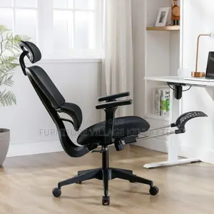 Executive Ergonomic Computer Workstation Chair