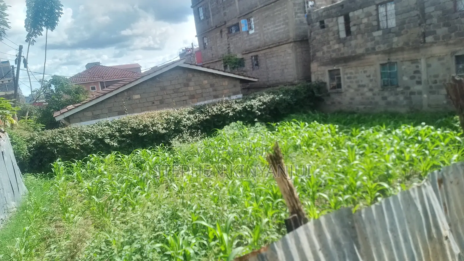 Police Line,Mwiki