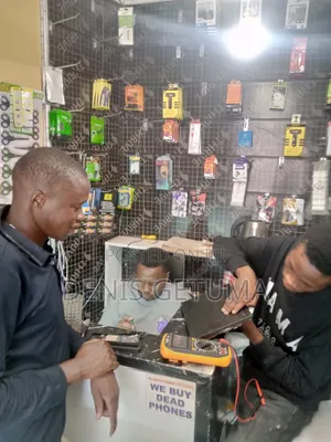 Screen Replacement Services