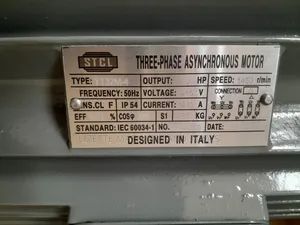 STCL 10hp Low Speed 3 Phase Motor