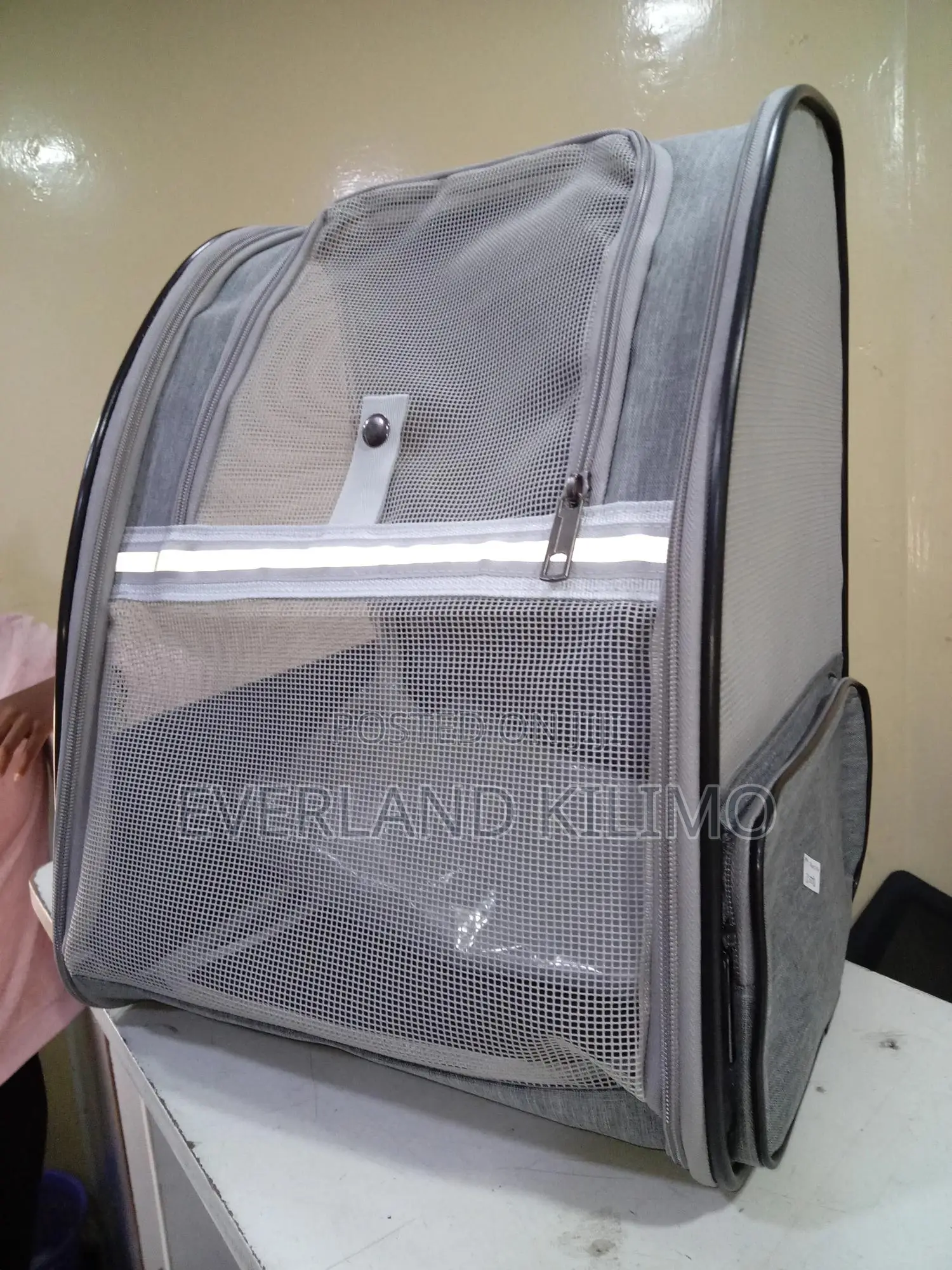 Bag-Like Pet Carrier