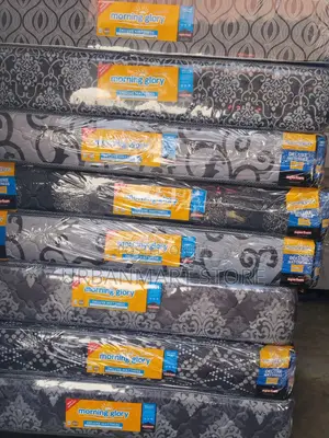 Morning Glory Mattress 10 Inch Quilted Foam 5x6