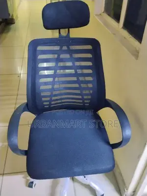 Ergonomic Office Chair With Neck Support, Headrest