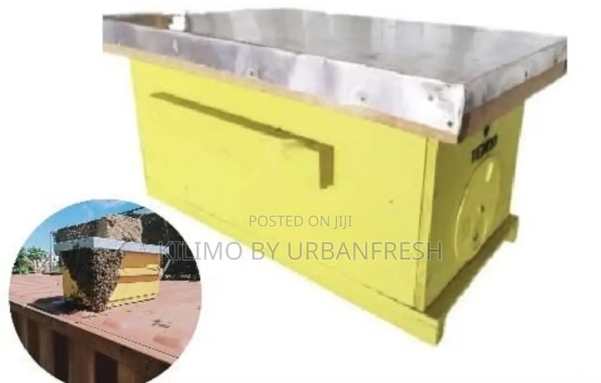 Bee Catcher Box