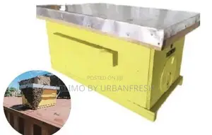 Bee Catcher Box