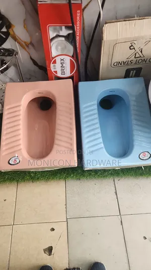 Step Asian Toilets (Marcos)