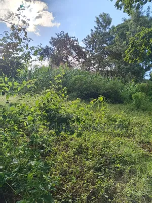 2 Acres on Sale at Makuyu -Mithiini