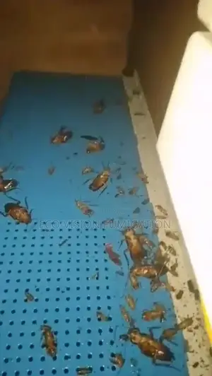 Pest Control
