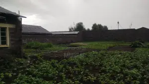 Mwariki Nakuru 1/4 Acre for Sale 6m