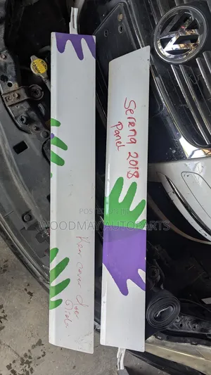 Nissan Serena 2018 Sliding Door Panel