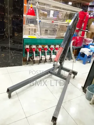 Steel Lifting Crane