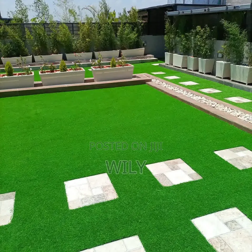 Wall to Wall Carpet