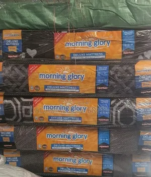 3.5*6 Mattress Inches Soft Touch Quilted Plain Mattress Collection 6"