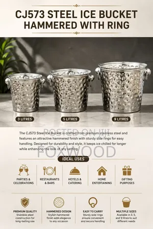 Large Capacity Stainless Steel Ice Bucket 3l
