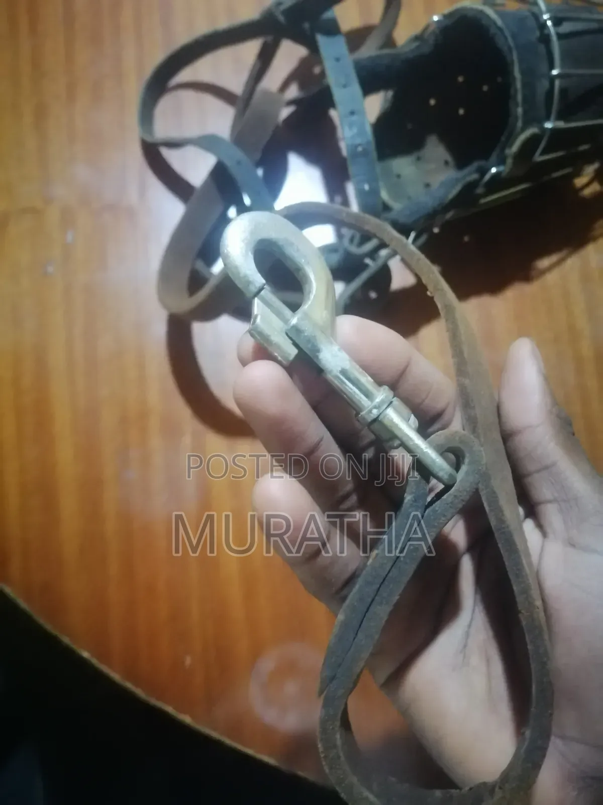 For Trainers