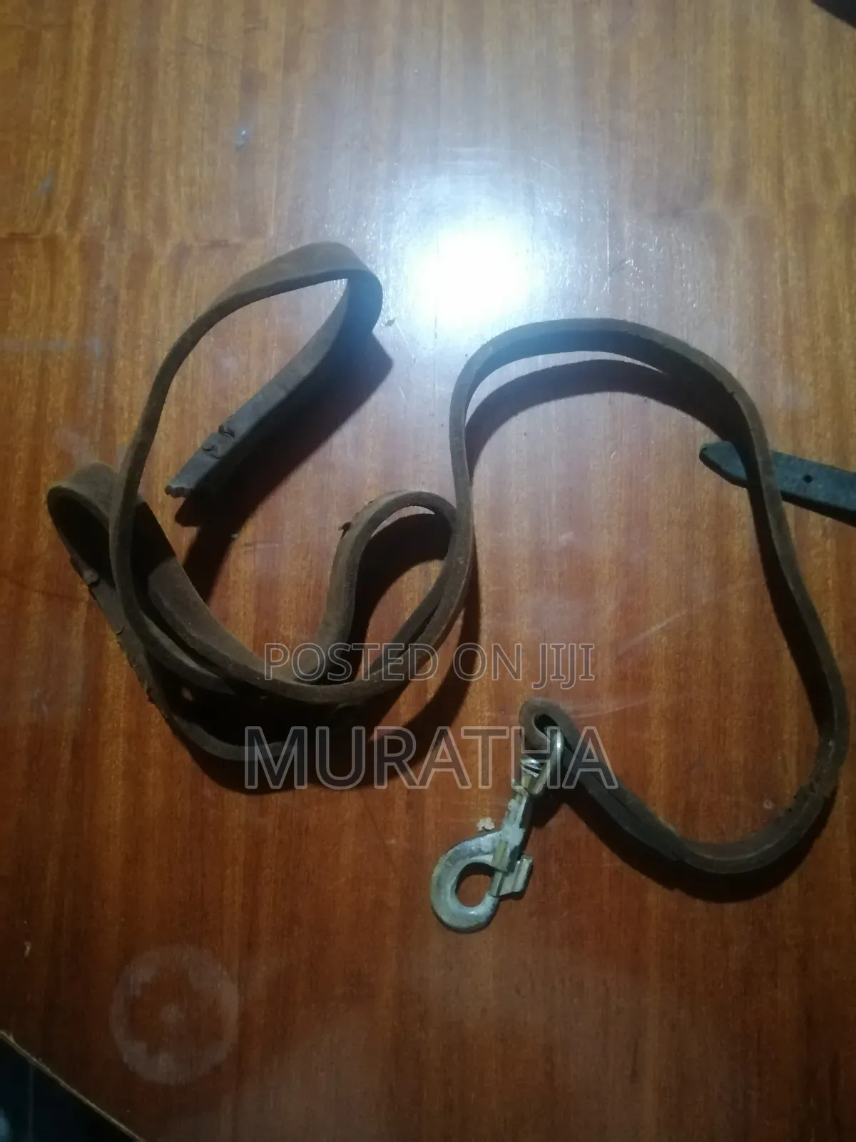 For Trainers
